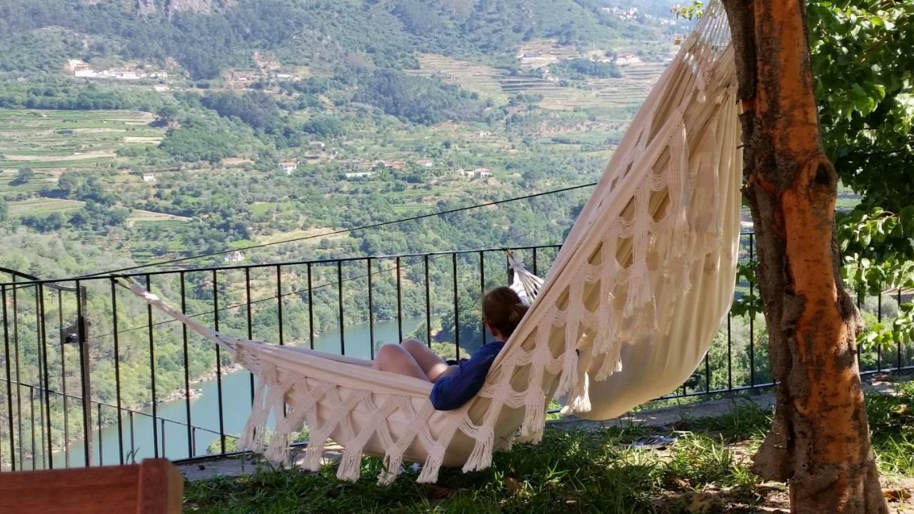 Willa Quinta Barqueiros D'Ouro - Casa Da Musica Mesão Frio Zewnętrze zdjęcie
